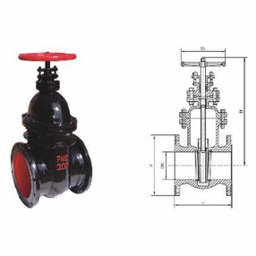 鑄鐵暗杆楔式閘閥